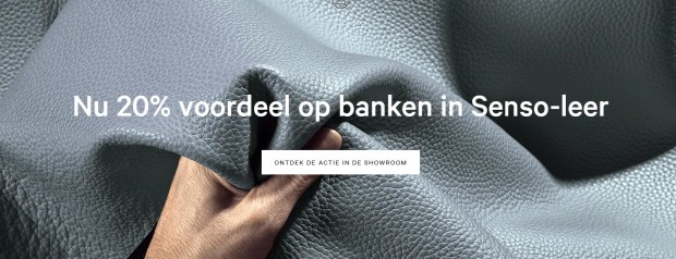 aktie leder